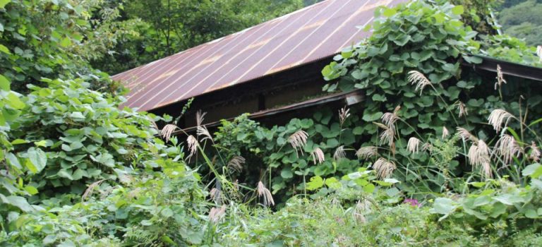 福岡で探る土地の魅力と可能性